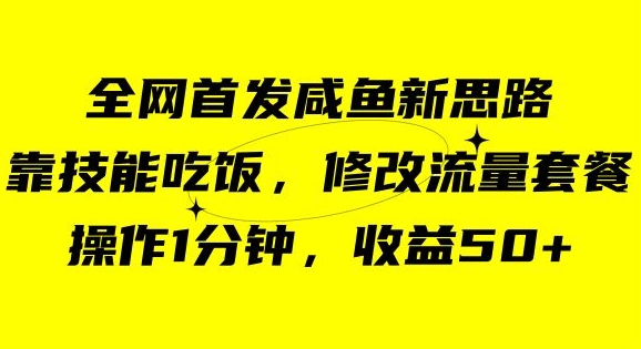 咸鱼冷门新玩法，靠“技能吃饭”，修改流量套餐，操作1分钟，收益50【揭秘】 - 星易源码-免费游戏源码分享